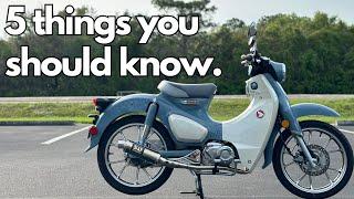 NEW Super Cub (2025) - What you should know before you buy!