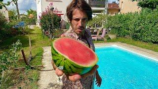 MEZERG - WATERMELON 