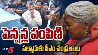 ఏపీలో మొదలైన పెన్షన్ల పండగ...AP CM Chandrababu Naidu Palnadu Tour | Pension Distribution | TV5