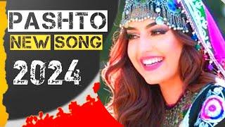 pashto new song tappy New TikTok viral song 2024 Pashto New Songs