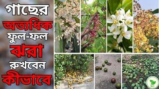 গাছের ফুল-ফল ঝরার ১০ কারণ10 Reasons Behind Excessive Flower & Fruit Drop offHow to Fix It