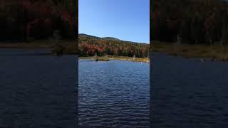 Zealand Pond, White Mountains, 11 September 2017.