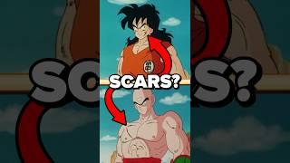 important SCARS in Dragon Ball