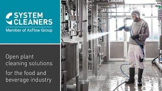 System Cleaners - Cleaning solutions and products