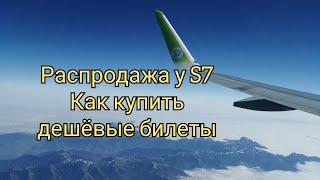 Распродажа у S7. Как купить дешёвые билеты. #s7 #распродажа #субсидированныебилеты