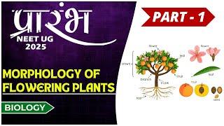 Morphology of Flowering Plants | Part -1 | DPD Ma'am | NEET UG 2025 | #neet #biology #education