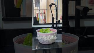 Como secar alface sem nenhum esforço! Alface sequinho para armazenar por 1 semana #cozinha #dicacasa