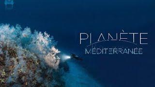 Planète Méditerranée