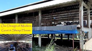 Commercial Goat and Sheep Farm House for Tropical Countries
