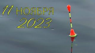 Рыбалка на поплавок 11 ноября 2023  на речке