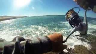 Rockfishing with jigs on Fuerteventura