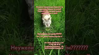 30 мая 2025 г.