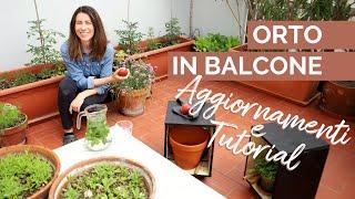 ORTO IN BALCONE: aggiornamenti, pomodori, aromatiche, lotta agli afidi + TUTORIAL SGABELLI in legno