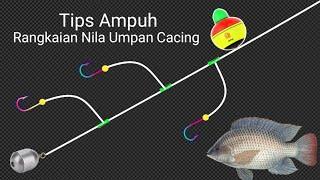 Tips Ampuh! Membuat Rangkaian Pancing Dasaran, Pakai Pelampung kusus Nila Tambak