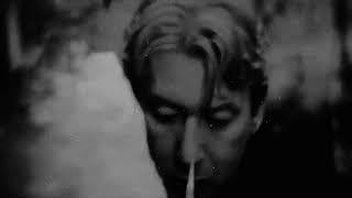 Alain BASHUNG - Immortels -