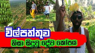 Vilpaththuwa | sri lanka comedy | sri lanka funny | Hasthi productions