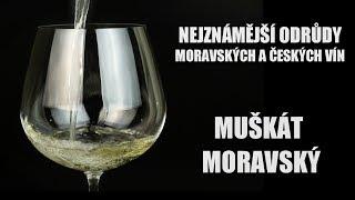 Odrůdy našich vín - Muškát moravský