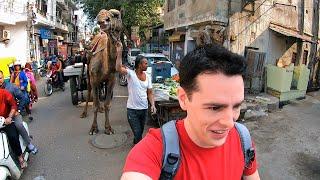 Exploring the Crazy Streets of Jaipur, India 