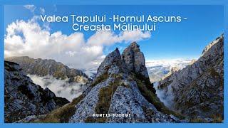 Valea Țapului - Brâul cu Jnepeni - Hornul Ascuns - Creasta Mălinului