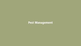 Pest Management