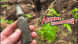 Пришли шурфить лесной хутор / Лесные Копатели