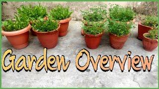 Garden Overview November month [Garden Desires]