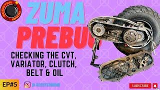 Prebug zuma variator check