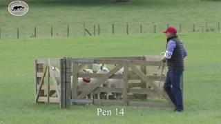 MR. K Evans & Ace @ Welsh National 2018