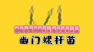 医学手绘精讲 |【幽门螺杆菌】致病机制+根除方案Helicobacter pylori  | Pathogenic Mechanism +  Treatment