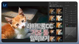 라이트룸 왕초보용 강좌, 기본 툴 알아보기