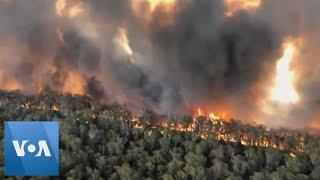 Aerial Footage Shows Scale of Fires in Australia