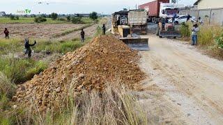 Nicely First Start Project!! Technique Operator Filling Land By D31P KOMATSU Dozer With Dump Trucks