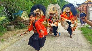 NGAKAK !! BARONGAN LEPAS NGAMUK NGEJAR SANG PAWANG