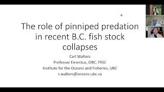 Role of pinniped predation in recent B.C. fish stock collapses