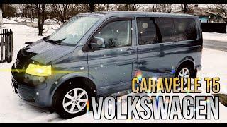 Volkswagen caravelle t5. Замена петли двери.