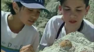 Bill Nye the Science Guy S04E19 Fossils