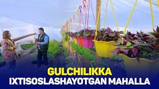 Gulchilikka ixtisoslashayotgan mahalla