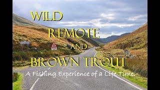 Fly Fishing for Wild Brown Trout in the Mountains of Wales UK.