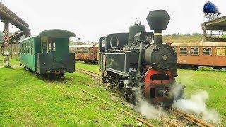 Mocanita 764-243 CFI Steam Loko/Damfplok la Manevra/Shunting in Depoul Criscior Depot 21 April 2017