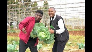 The Young Couple Behind The Most Lucrative Farm In Zimbabwe 