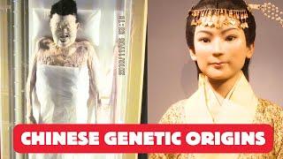 Scientists Reveal Surprising Chinese Genetic Origins in Groundbreaking Study