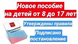 Новое пособие на детей от 8 до 17 лет. Утверждены правила. Постановление подписано. Все условия