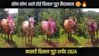 चिखल गुट्टा मैदान आलेले नामांकित बैल, कासार्डे चिखल गुट्टा मैदान 2024 | कोण कोण आले आहेत मैदानात