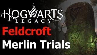 Hogwarts Legacy - All 16 Feldcroft Region Merlin Trials Guide - Merlin's Beard Achievement & Trophy