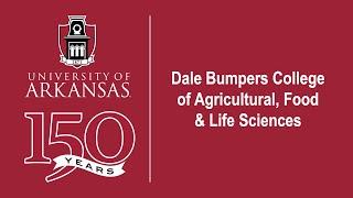 Dale Bumpers College of Agricultural, Food and Life Sciences Commencement (1)