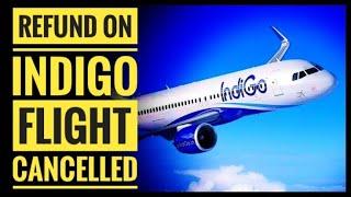 How to cancel indigo flight and get refund | Flight91