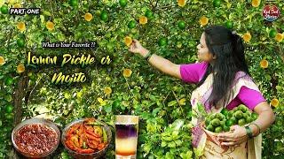 "Husband's Secret Mojito" or My Pickles | What is Your Favorite?| Village Cooking | Red Soil Stories