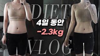 4일만에 -2.3kg! 뭐 먹었어? 광고 건강한 다이어트 브이로그