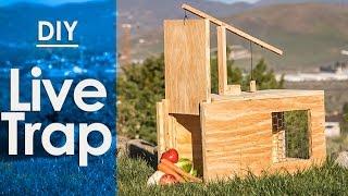 Live Trap, How to make a - simple DIY