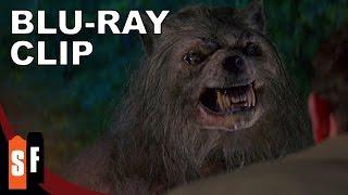 Bad Moon (1996) - Clip 2: Nice Doggy! (HD)